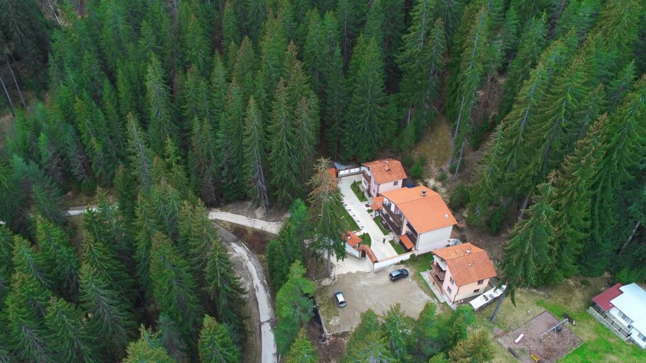 Ивелия Къща За Гости Dospat Bagian luar foto